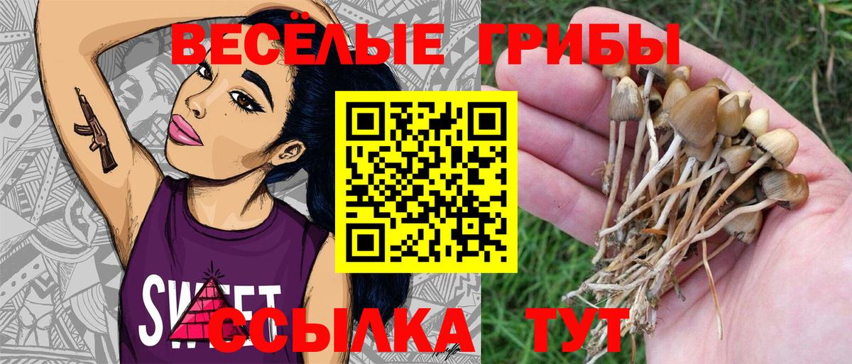 Галлюциногенные грибы мухоморы  Вход с VPN  Богородск  Псилоцибиновые грибы мицелий 